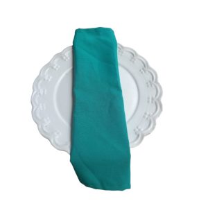 Turquoise Napkin
